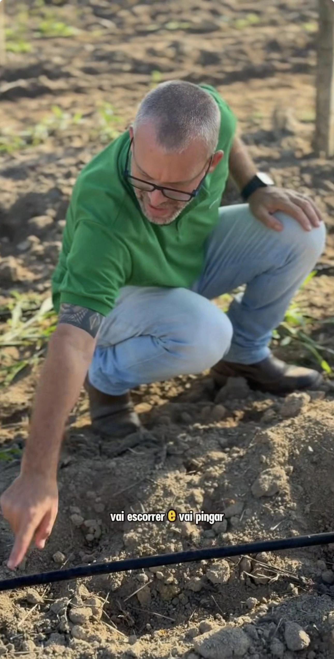 Experiência prática da Erasmo Agro no campo — imagem 10 de 38